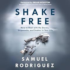 Shake Free cover art