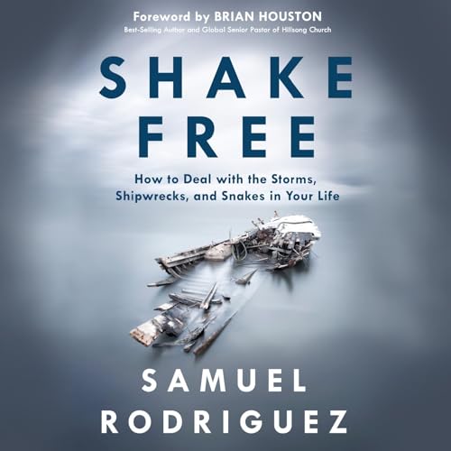 Shake Free cover art