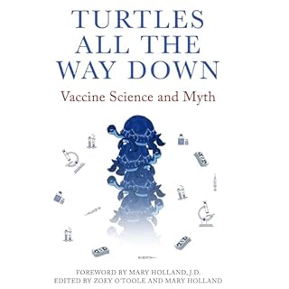 Turtles All the Way Down Audiobook By Anonymous cover art