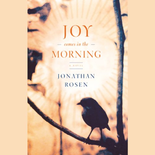 Joy Comes in the Morning Audiobook By Jonathan Rosen cover art