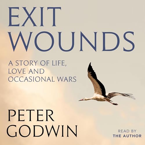 Exit Wounds Audiobook By Peter Godwin cover art