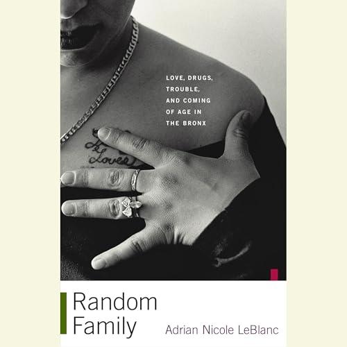 Random Family cover art