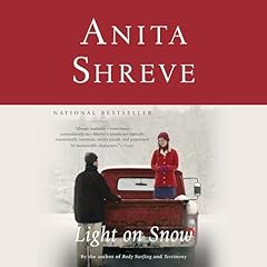 Light on Snow Audiobook By Anita Shreve cover art