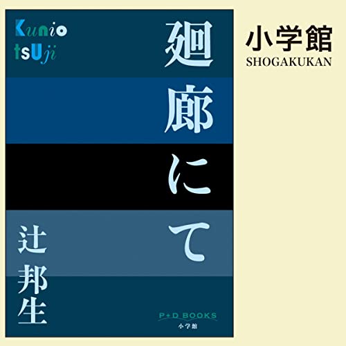 廻廊にて（P+D BOOKS） Audiobook By 辻邦生 cover art