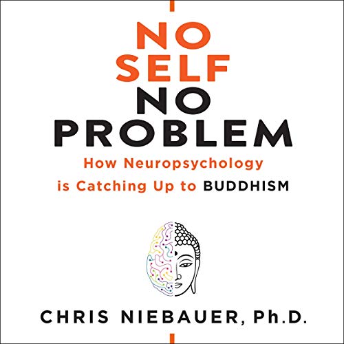 No Self, No Problem Audiobook By Chris Niebauer PhD cover art