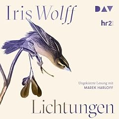 Lichtungen cover art