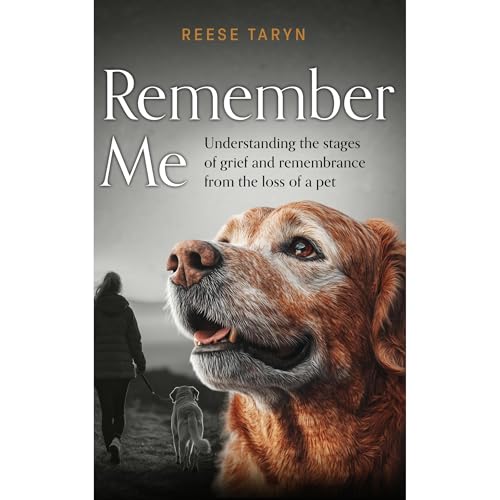 Remember Me Audiobook By Reese Taryn cover art