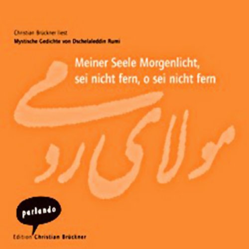 Meiner Seele Morgenlicht, sei nicht fern, o sei nicht fern cover art