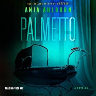 Palmetto Audiolibro Por Ania Ahlborn arte de portada