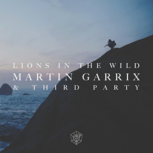 Martin Garrix & Third Party