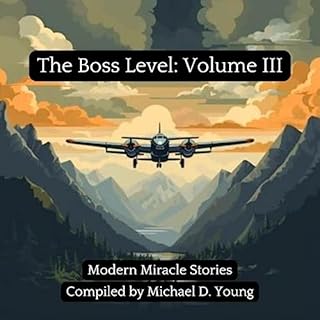 The Boss Level, Volume III Audiobook By Michael Young, Cami Shaskin, Madonna Christensen, Shannon Johnson, Chelsea Rippy, Nor