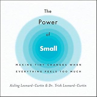 The Power of Small Audiobook By Trish Leonard-Curtin, Aisling Leonard-Curtin cover art