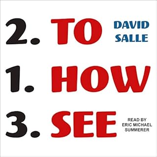 How to See Audiobook By David Salle cover art