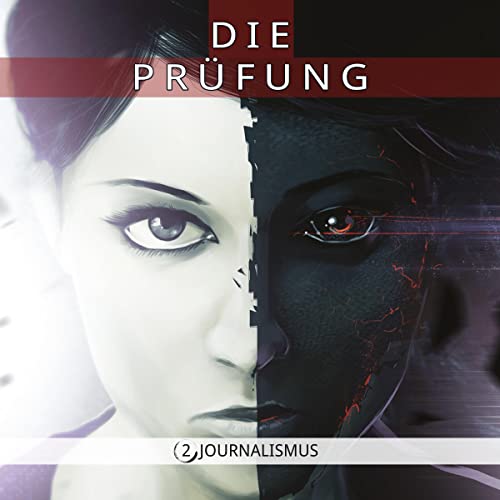 Journalismus cover art