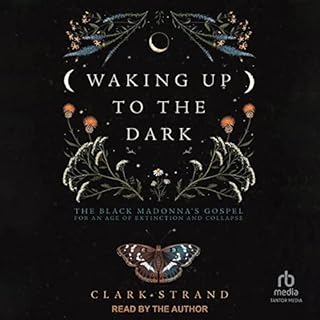 Waking Up to the Dark Audiolibro Por Clark Strand arte de portada