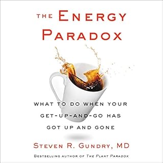 Page de couverture de The Energy Paradox