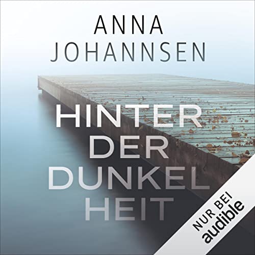 Hinter der Dunkelheit cover art