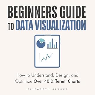 Beginners Guide to Data Visualization Audiobook By Elizabeth Clarke cover art