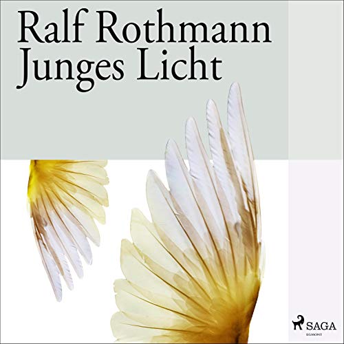 Junges Licht cover art