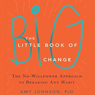 The Little Book of Big Change Audiobook By Amy Johnson PhD cover art