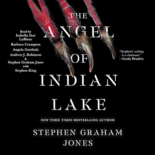 Couverture de The Angel of Indian Lake