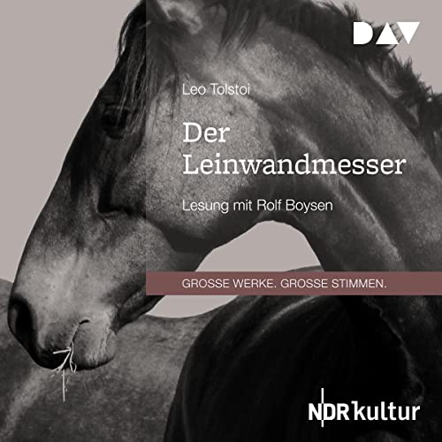 Der Leinwandmesser cover art