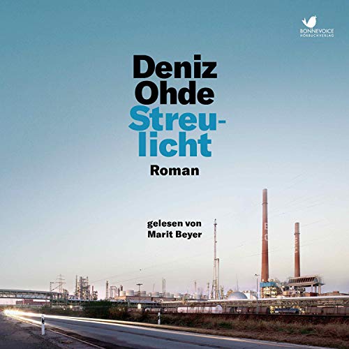 Streulicht cover art