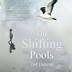 The Shifting Pools cover art