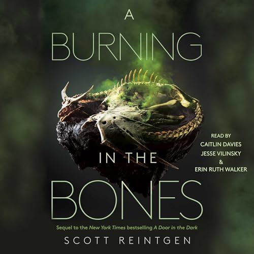 Couverture de A Burning in the Bones