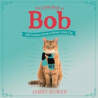 The Little Book of Bob cover art