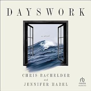 Dayswork Audiolibro Por Chris Bachelder, Jennifer Habel arte de portada