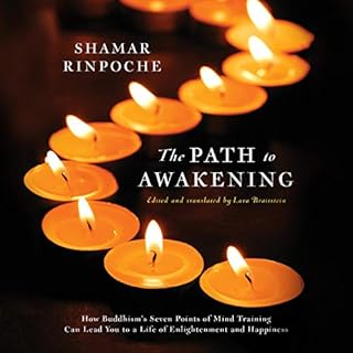 The Path to Awakening Audiobook By Shamar Rinpoche cover art