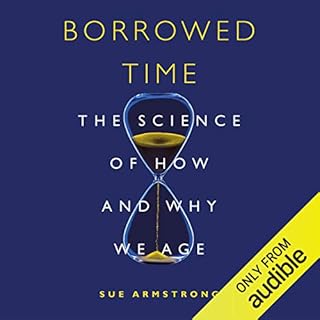 Borrowed Time Audiobook By Sue Armstrong cover art