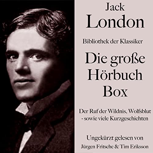 Die große Hörbuch Box cover art