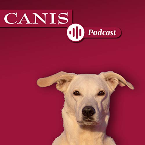 Der CANIS-Podcast – Hundeexpert:innen ausgefragt Titelbild