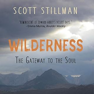 Wilderness, the Gateway to the Soul Audiolibro Por Scott Stillman arte de portada