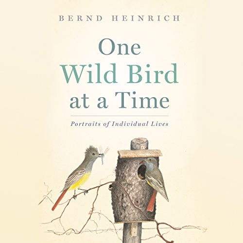 One Wild Bird at a Time Audiolibro Por Bernd Heinrich arte de portada