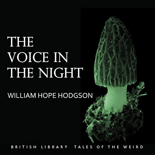 The Voice in the Night cover art