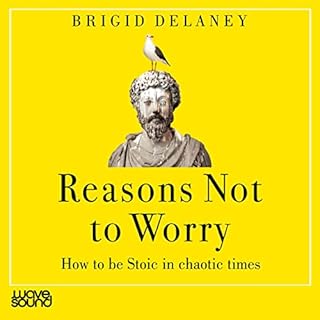 Reasons Not to Worry cover art