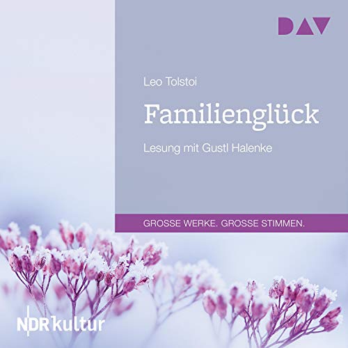 Familienglück Audiobook By Leo Tolstoy cover art