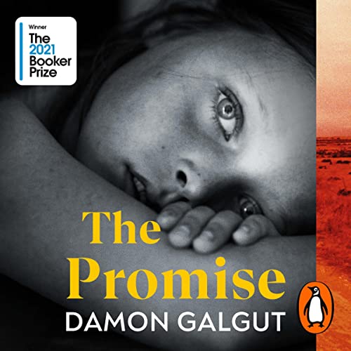 Couverture de The Promise