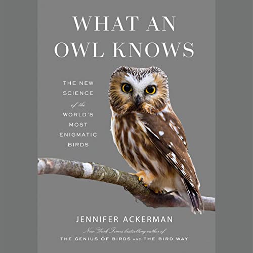 What an Owl Knows cover art