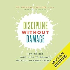 Discipline Without Damage cover art