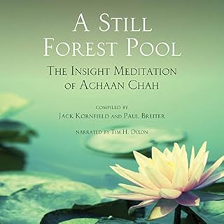 A Still Forest Pool: The Insight Meditation of Achaan Chah Audiobook By Achaan Chah, Paul Breiter, Ajahn Chah cover art