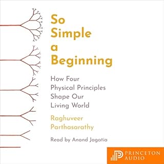 So Simple a Beginning Audiobook By Raghuveer Parthasarathy cover art