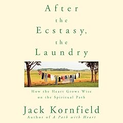 After the Ecstasy, the Laundry Audiobook By Jack Kornfield cover art