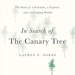 In Search of the Canary Tree Audiobook By Lauren E. Oakes cover art