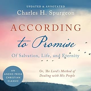 According to the Promise Audiobook By Charles Spurgeon cover art