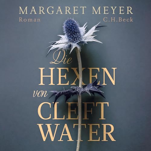 Die Hexen von Cleftwater cover art