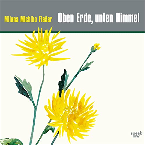 Oben Erde, unten Himmel Audiolivro Por Milena Michiko Flašar capa